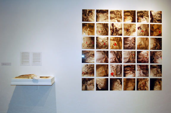 Fair Brown & Trembling (Installation View)